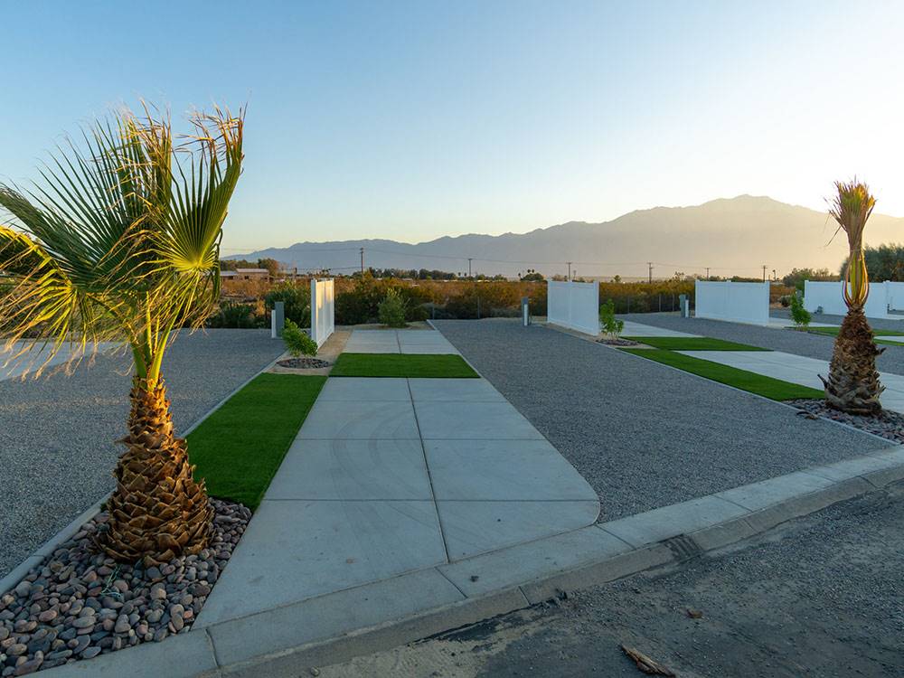 A site landscaped with palm trees