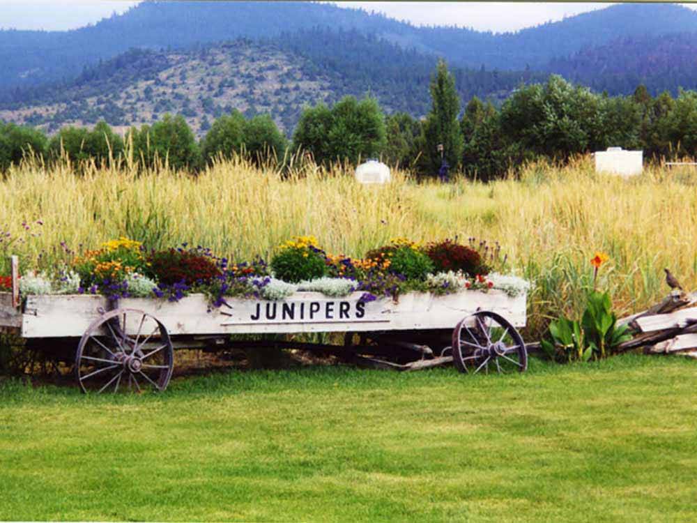 An old wagon used for a flower bed at JUNIPERS RESERVOIR RV RESORT