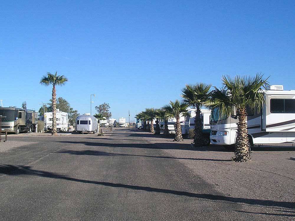 Trailers and RVs camping at ENCORE FOOTHILLS WEST