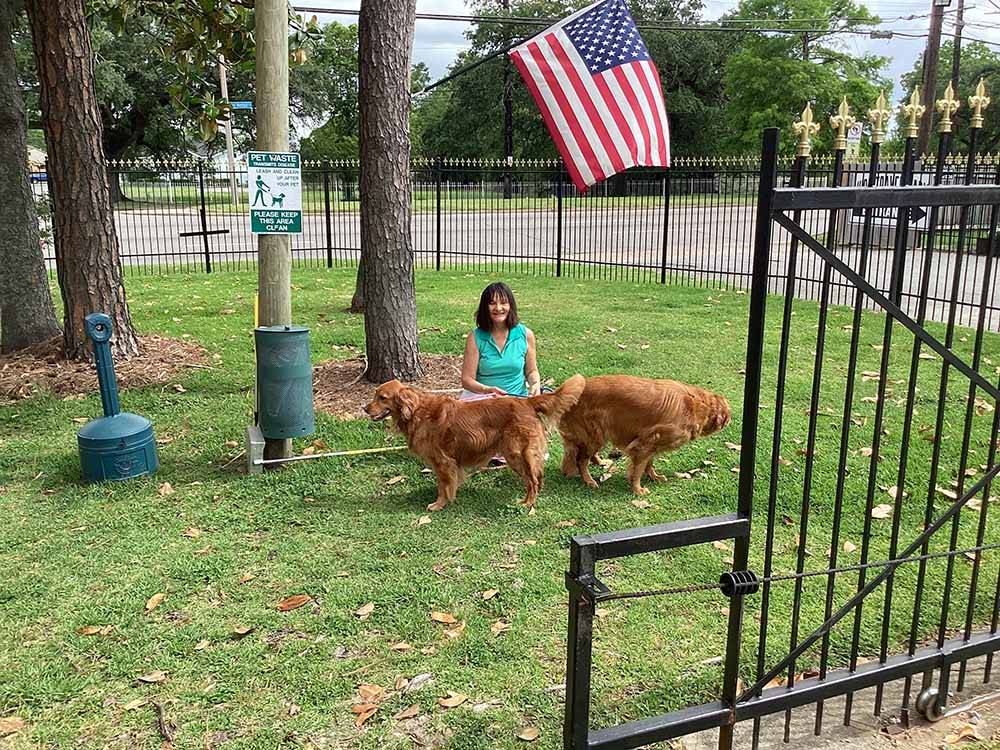 A couple of dogs in the fenced in pet area at JUDE TRAVEL PARK OF NEW ORLEANS