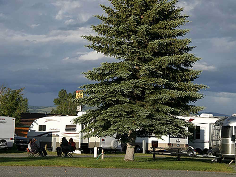 Trailers camping with large pine tree on cloudy day at INDIAN CREEK RV PARK & CAMPGROUND