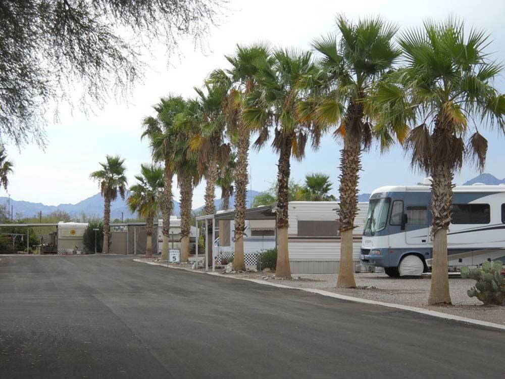 Road leading into campground at HOLIDAY PALMS RESORT