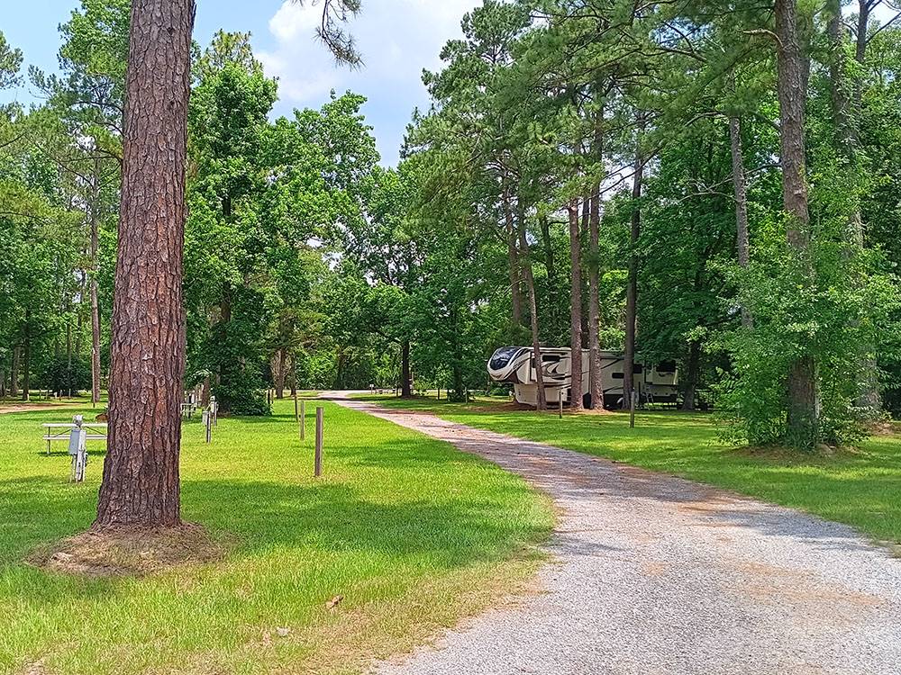 Gravel road with an RV under the trees