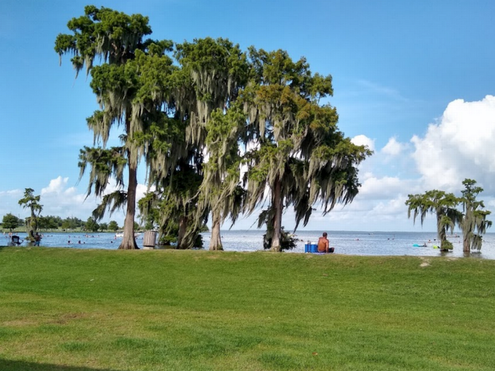 Trees by the water Lake End Park Campground & Cabins