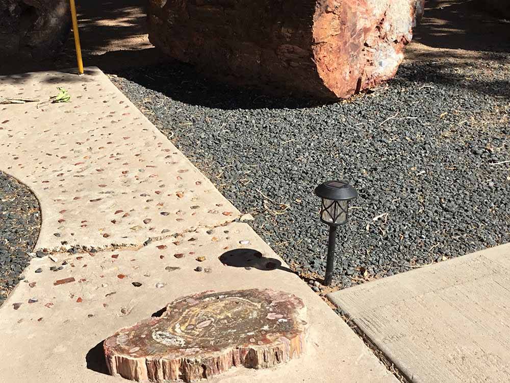 Petrified tree stump and log on its side on concrete pathway at OK RV PARK