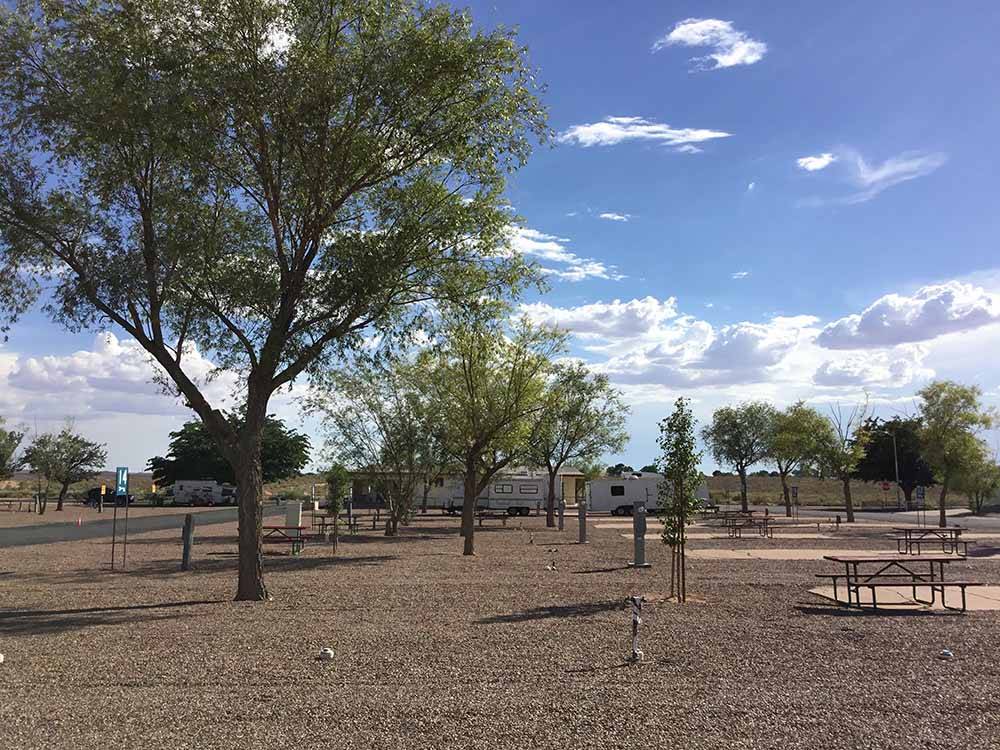 RV sites amid tables and trees at OK RV PARK