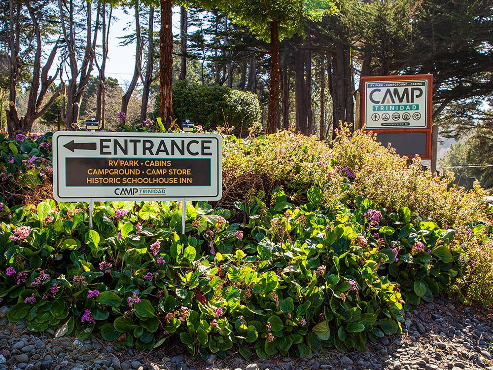 Campground Image
