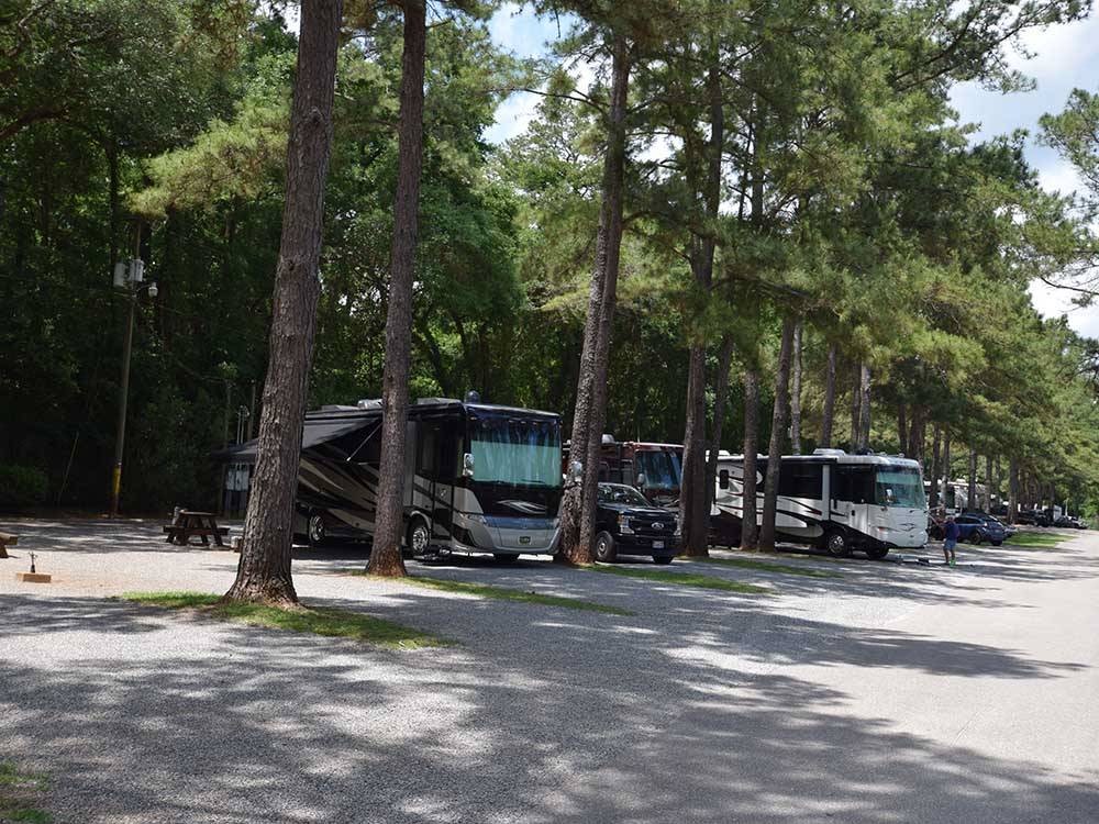 Back in paved RV sites at TALLAHASSEE RV PARK