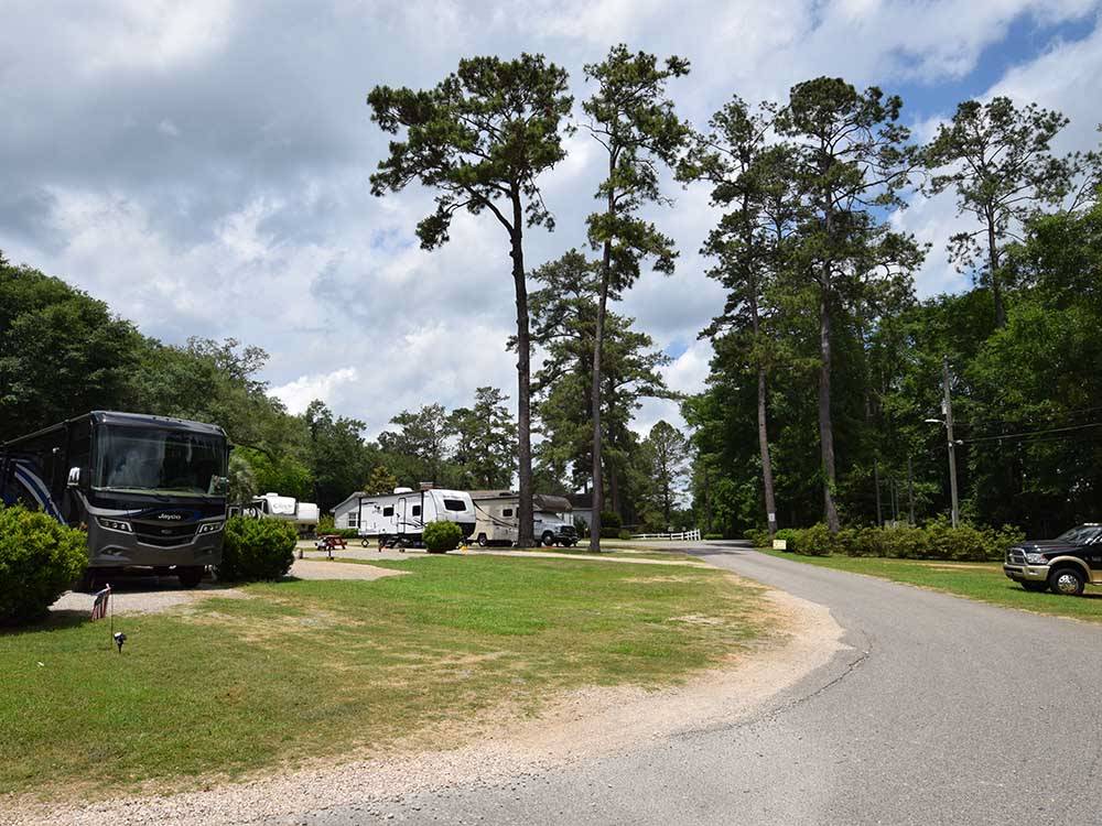 A road going to the RV sites at TALLAHASSEE RV PARK