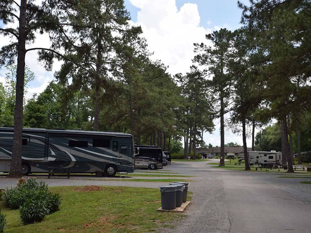 A road going between RV sites at TALLAHASSEE RV PARK