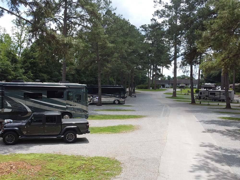 A tree lined road with RV sites at TALLAHASSEE RV PARK