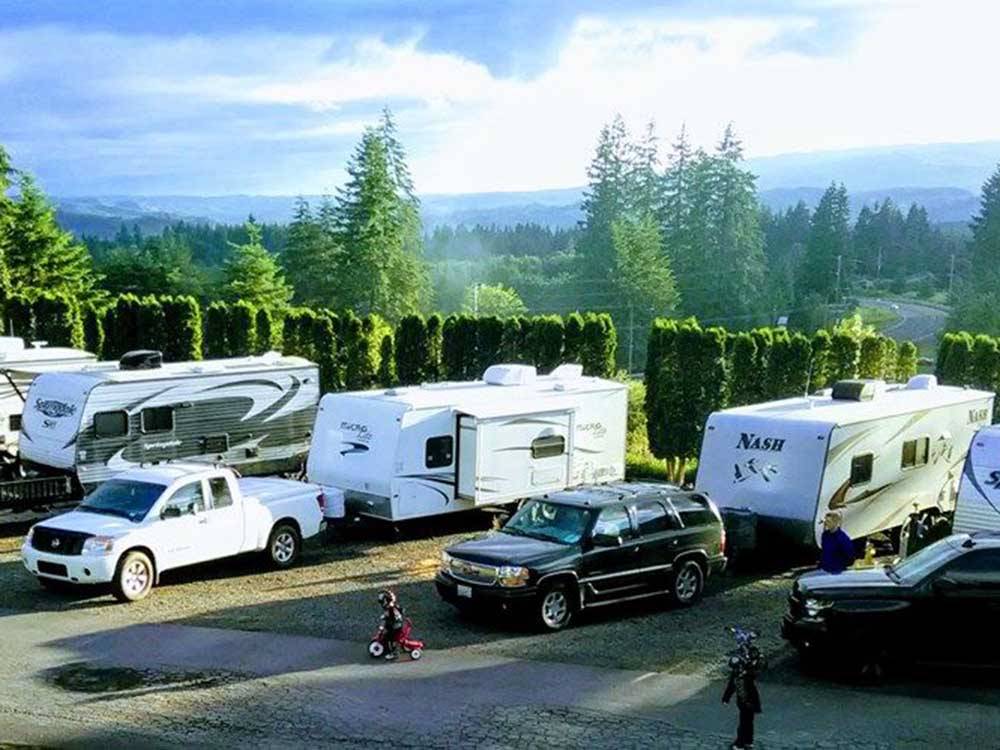 RVs parked amidst beautiful scenery at MT ST HELENS RV PARK