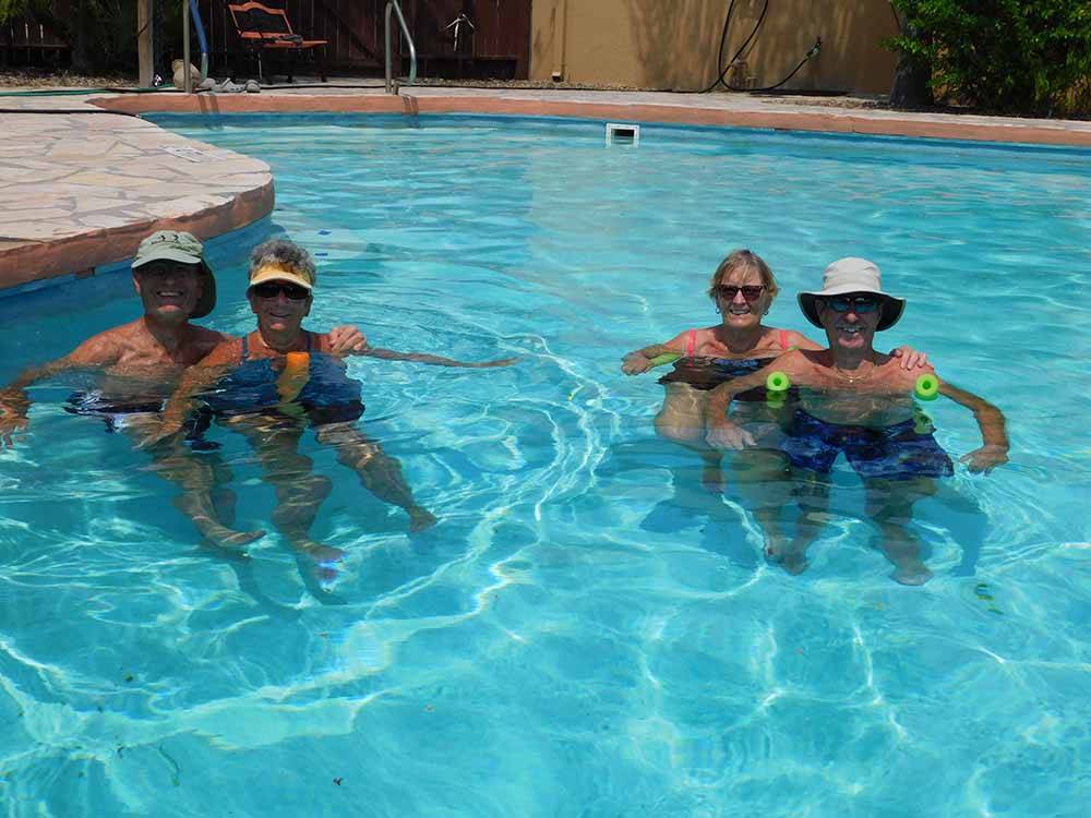 Two couples in the swimming pool at FIG TREE RV RESORT