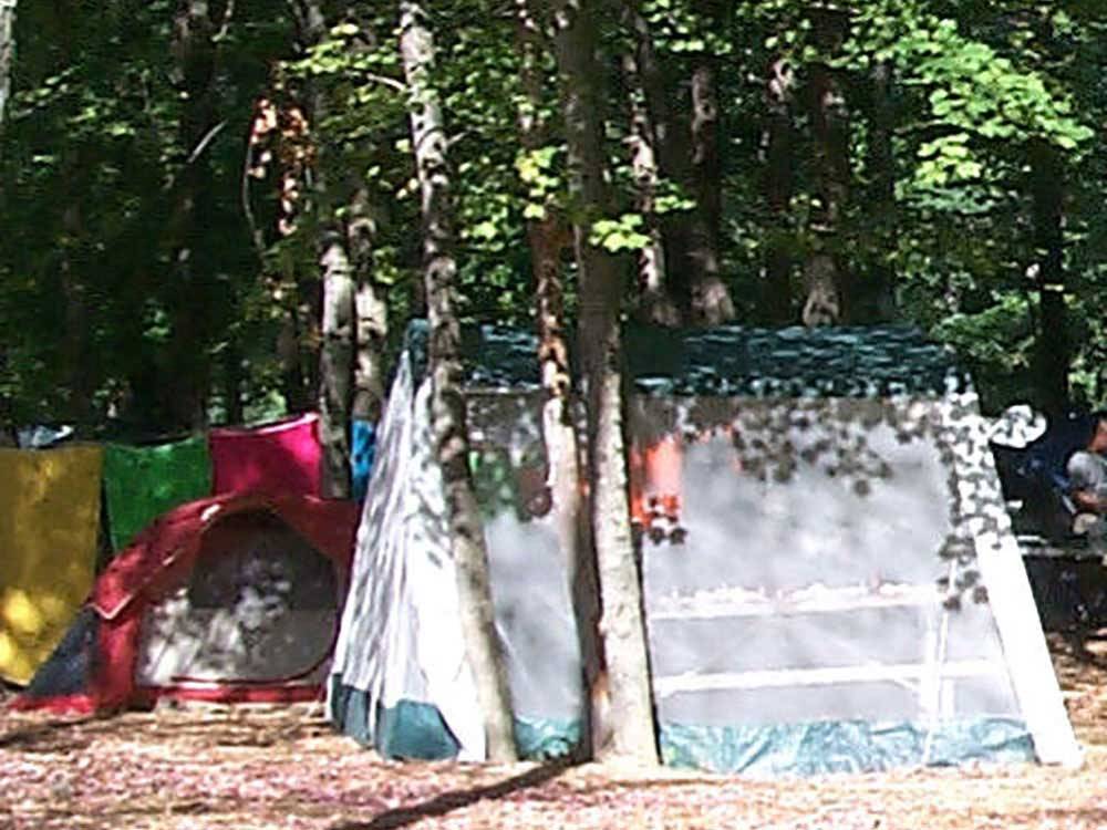 Tents camping at BLACK BEAR CAMPGROUND