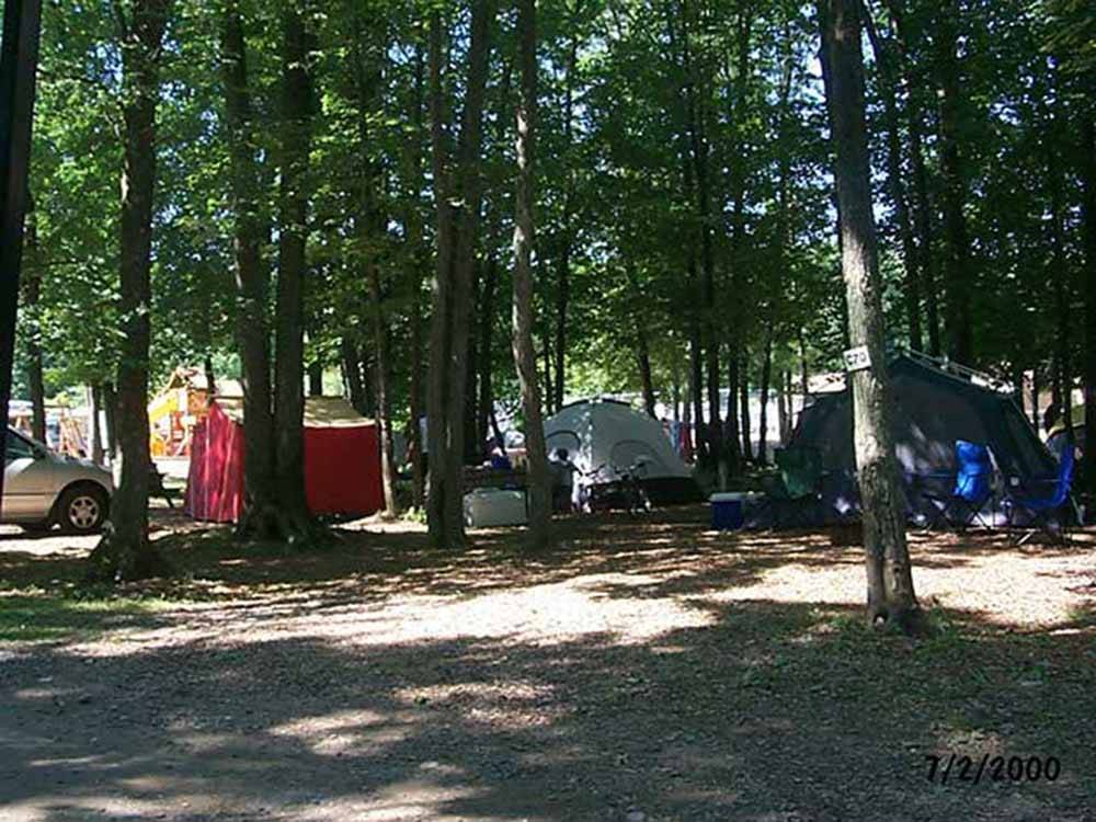 Tents set up at campsites at BLACK BEAR CAMPGROUND
