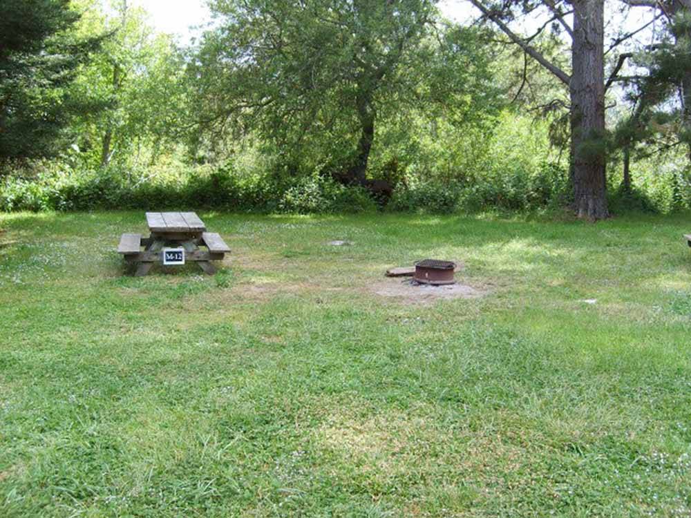 A picnic table and fire ring at OLEMA CAMPGROUND