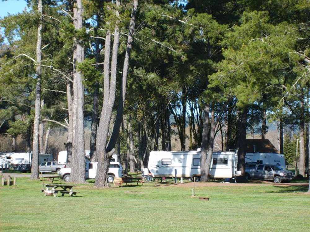 A green field with RVs under trees at OLEMA CAMPGROUND