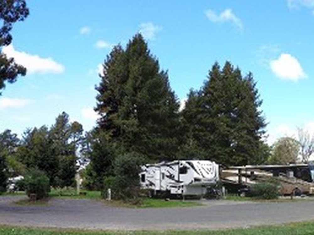 A fifth wheel trailer in a back in RV site at OLEMA CAMPGROUND