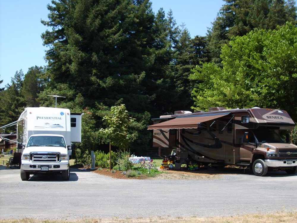 A row of motorhomes in sites at OLEMA CAMPGROUND