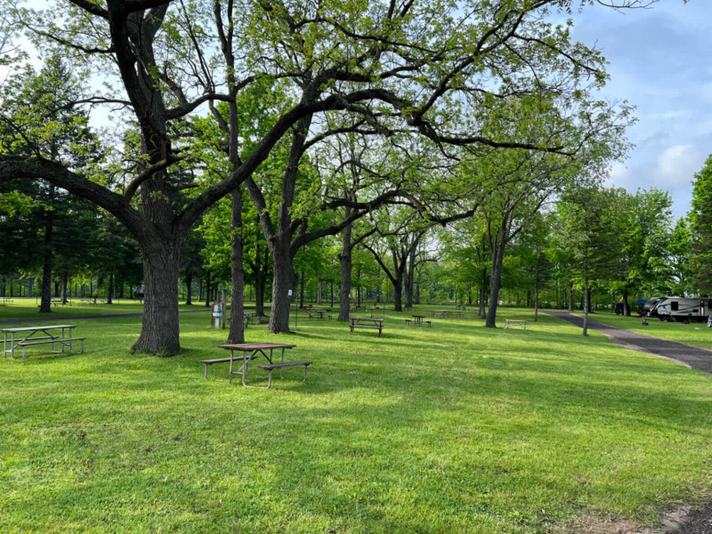Panic area at Walnut Hills Family Campground
