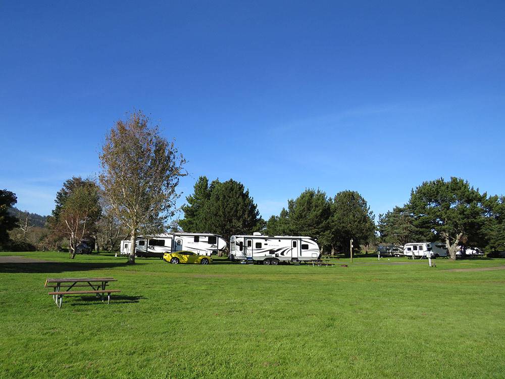 RVs camping on a vast, green expanse at CIRCLE CREEK RV RESORT