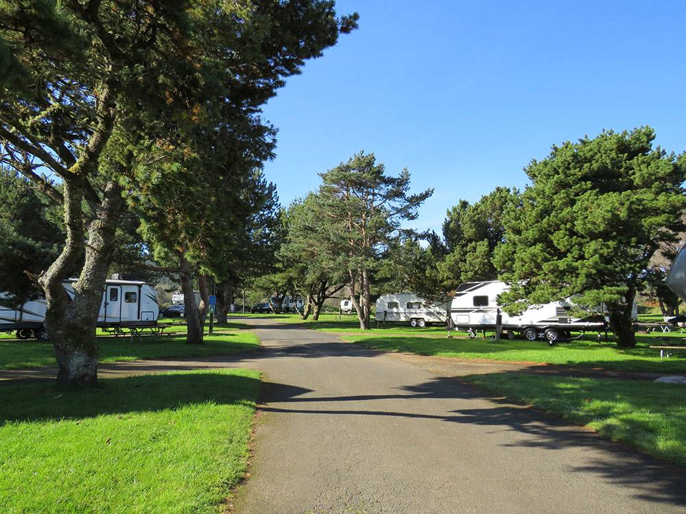 Road runs through campground with green, grassy landscape at CIRCLE CREEK RV RESORT