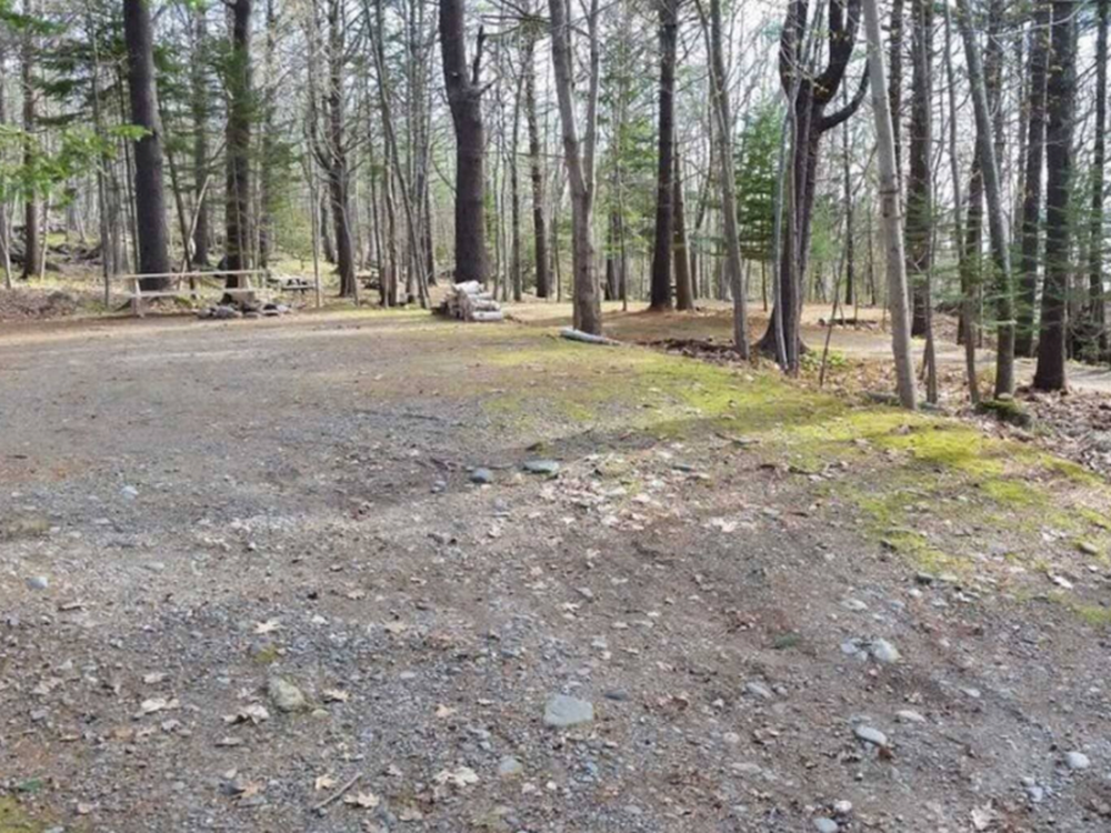 Gravel sites at Sea Swell Campgrounds/Camden Hills
