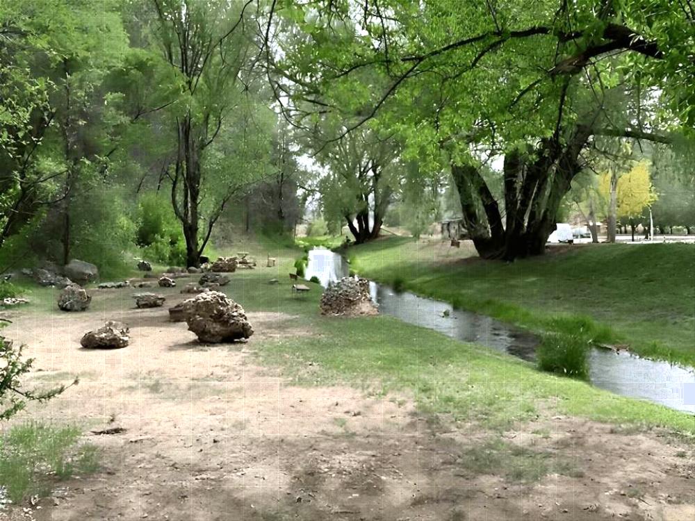 The creek at Camp Rio
