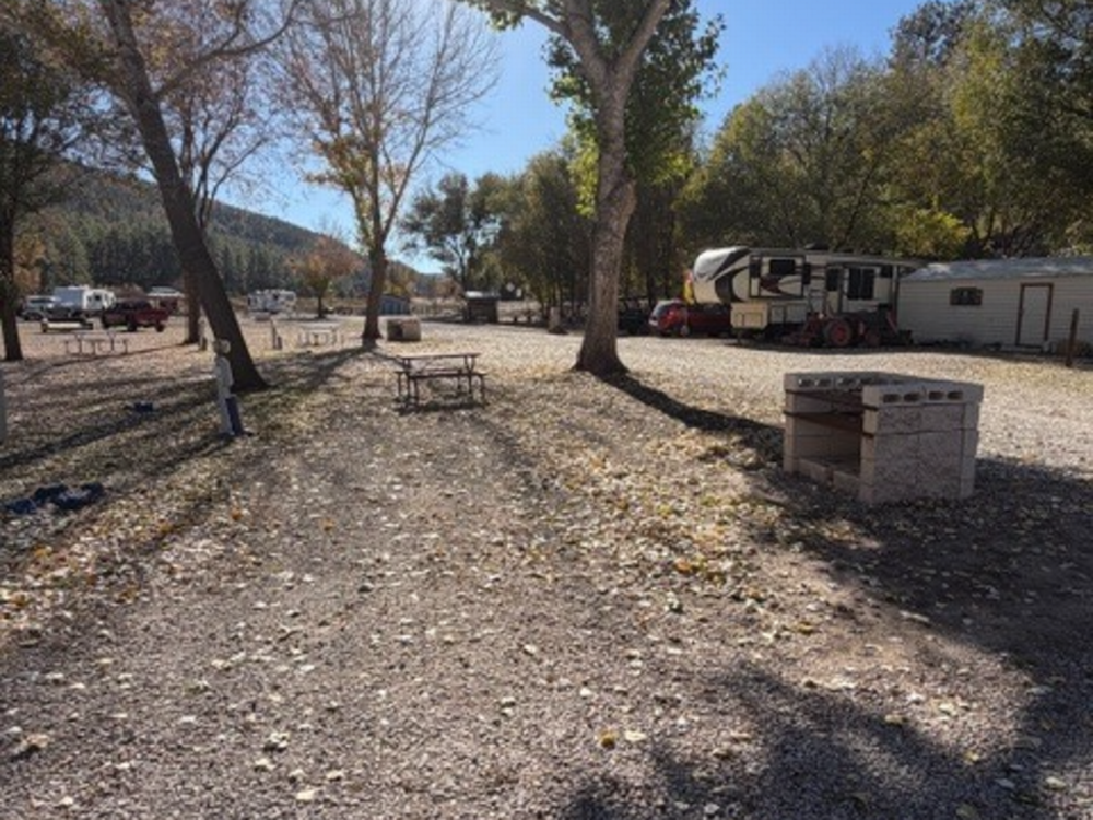 Gravel sites by the tree