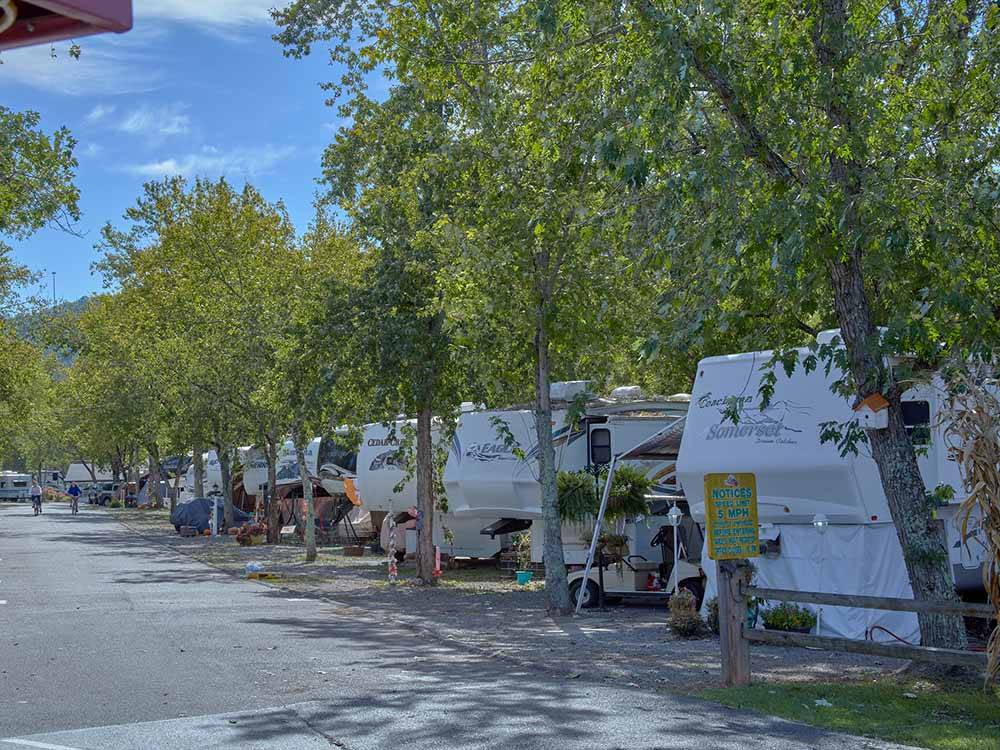 A row of trailers under trees at CLABOUGH'S CAMPGROUND