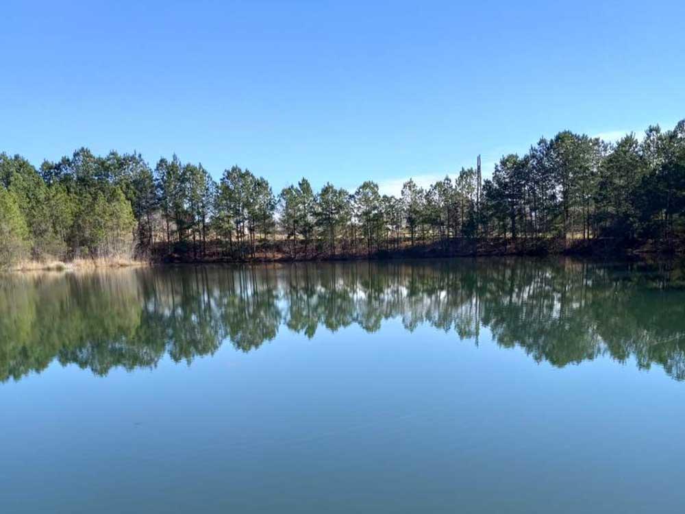 A view of the lake and trees at TIFTON RV PARK I-75 (FORMERLY TIFTON KOA)