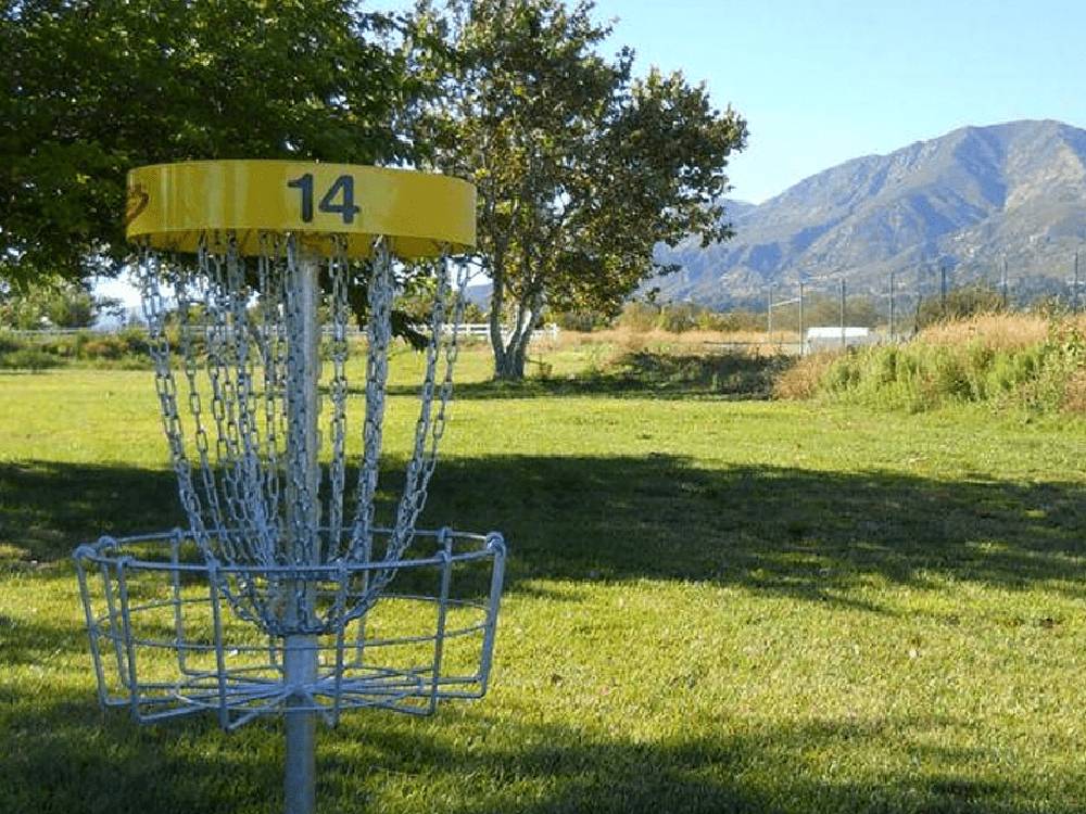 Disc golf