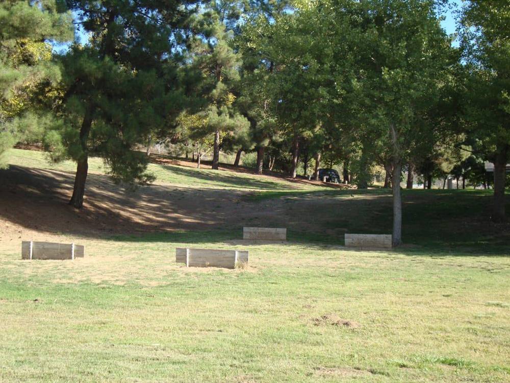 Horseshoe pits in the grass