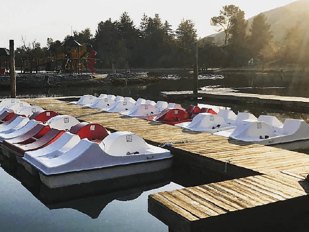 Dock with pedal boats on lake