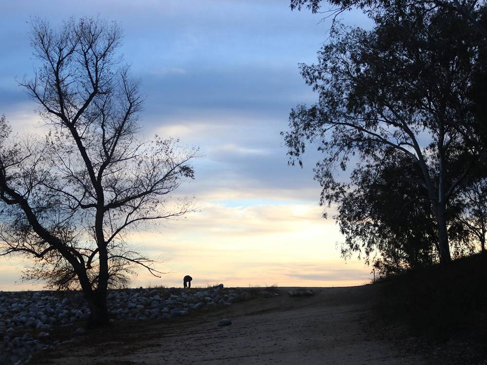 Sunset at the park