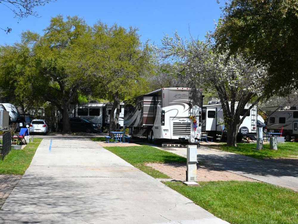 RVs in sites with trees
