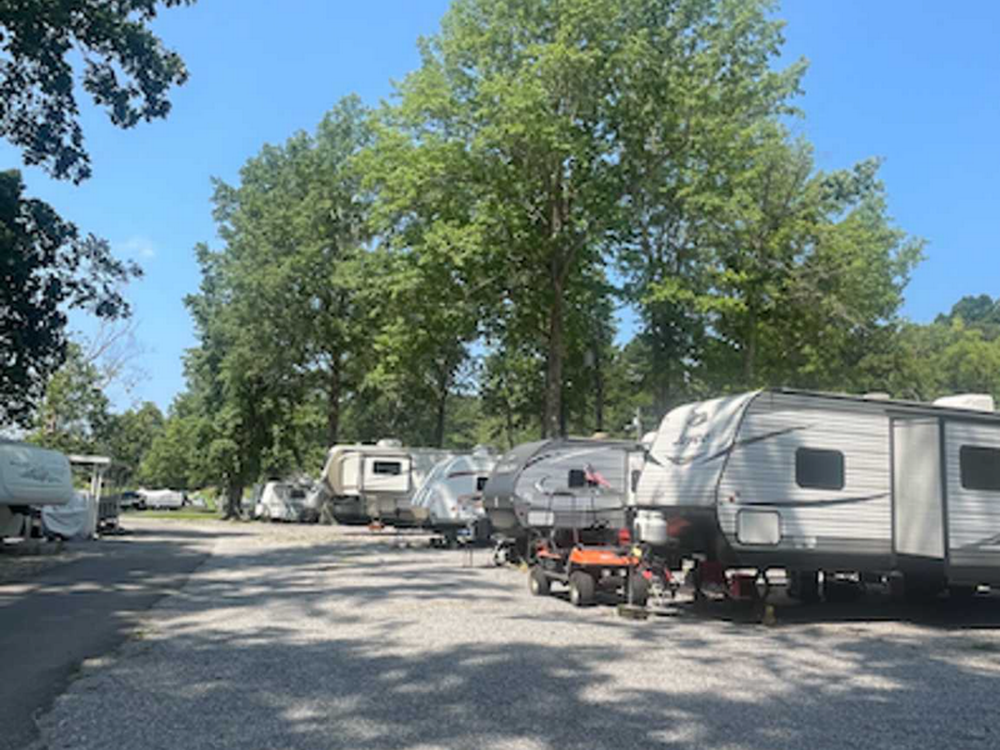 A row of RVs in sites at Indian Point Campground