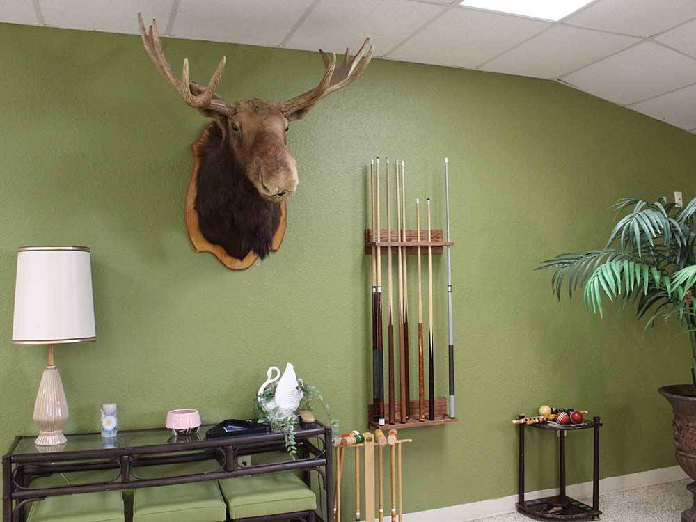 A green wall decorated with moose trophy and pool cues at ELK CREEK RV PARK
