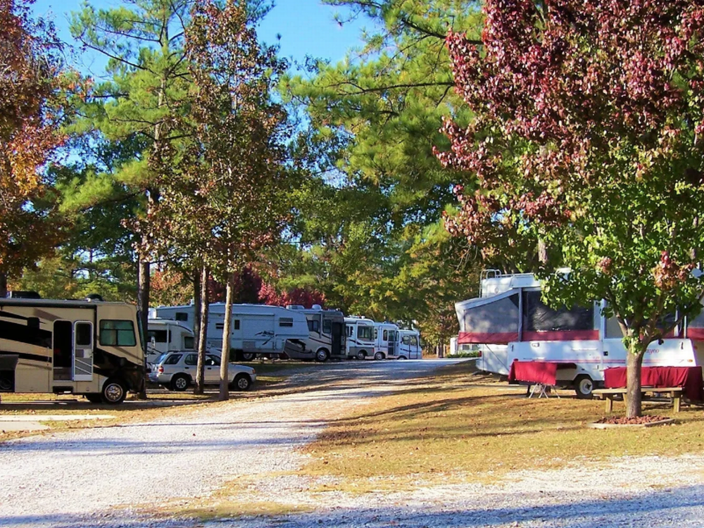 RVs parked in shady sites