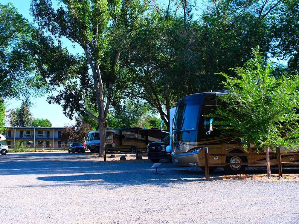 Motorhomes backed in at the gravel sites at CEDAR CREEK RV PARK