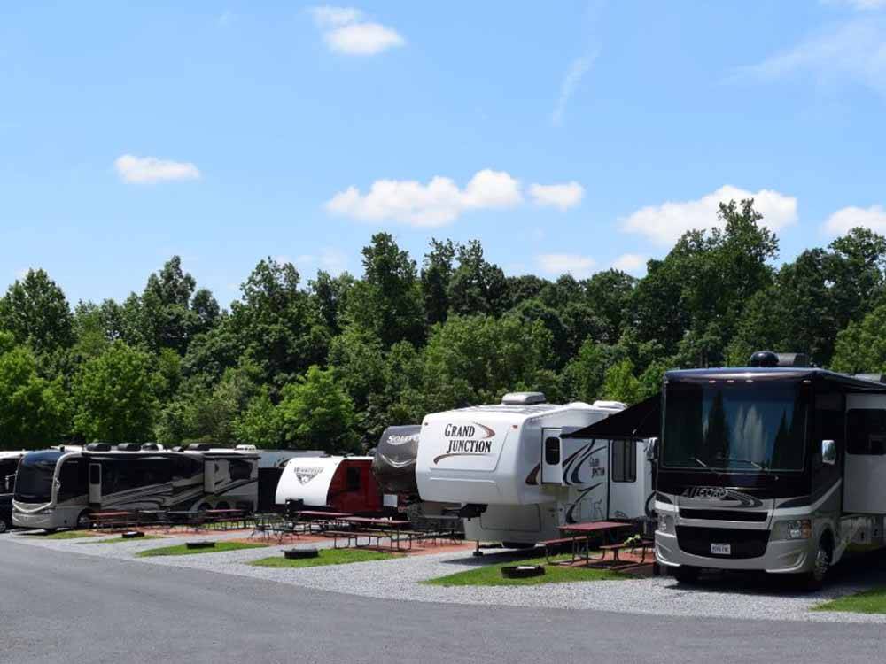 A row of RVs sitting in front of trees at CHERRY HILL PARK