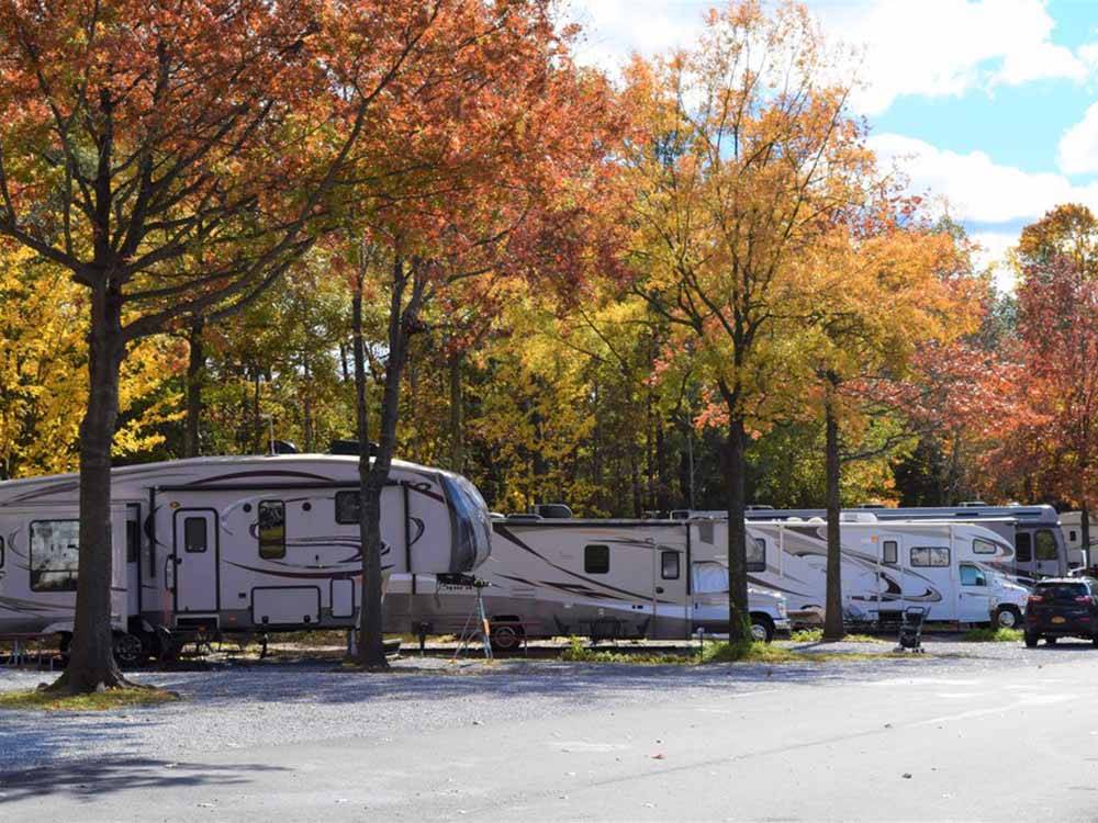 A row of RVs in the fall at CHERRY HILL PARK