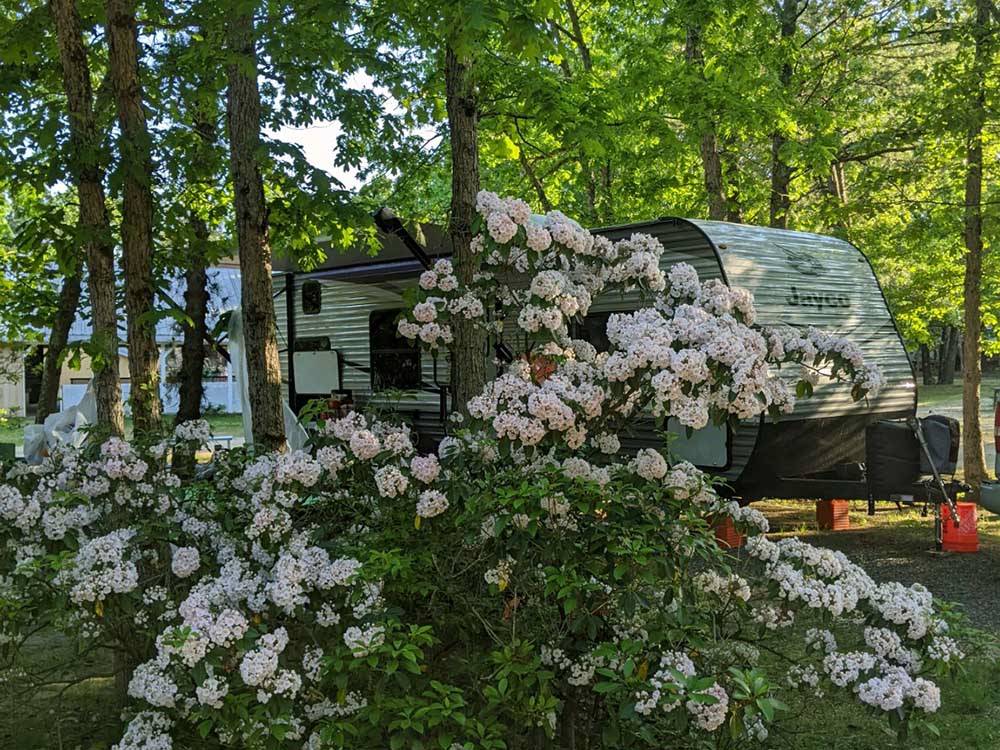 A travel trailer in an RV site under trees at INDIAN ROCK RV PARK