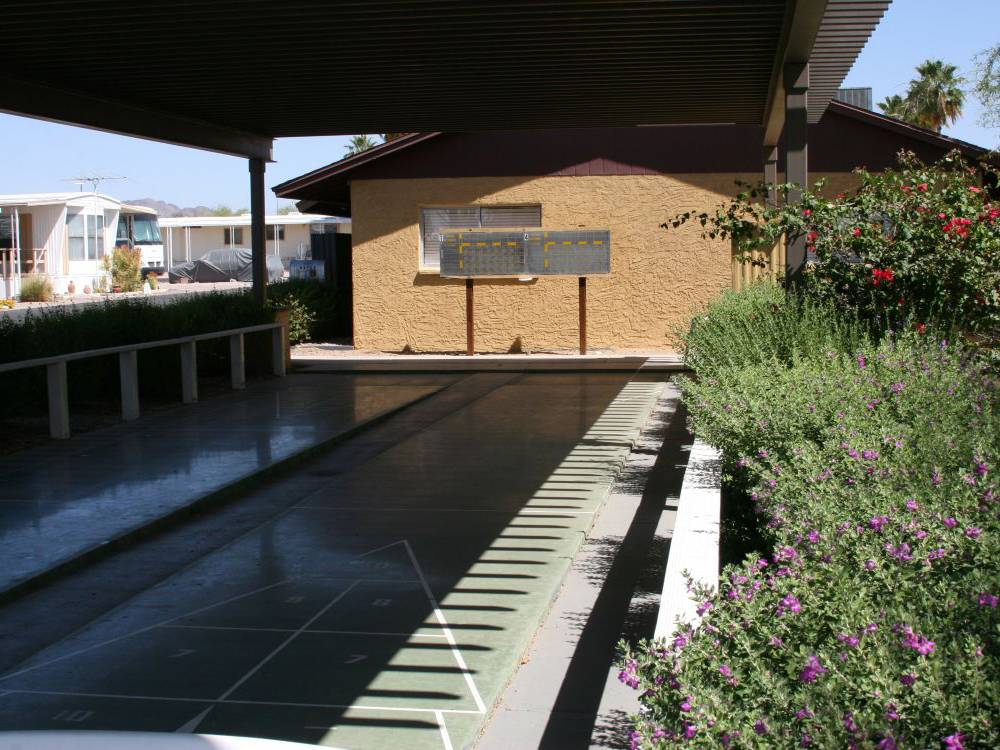 Shuffleboard court
