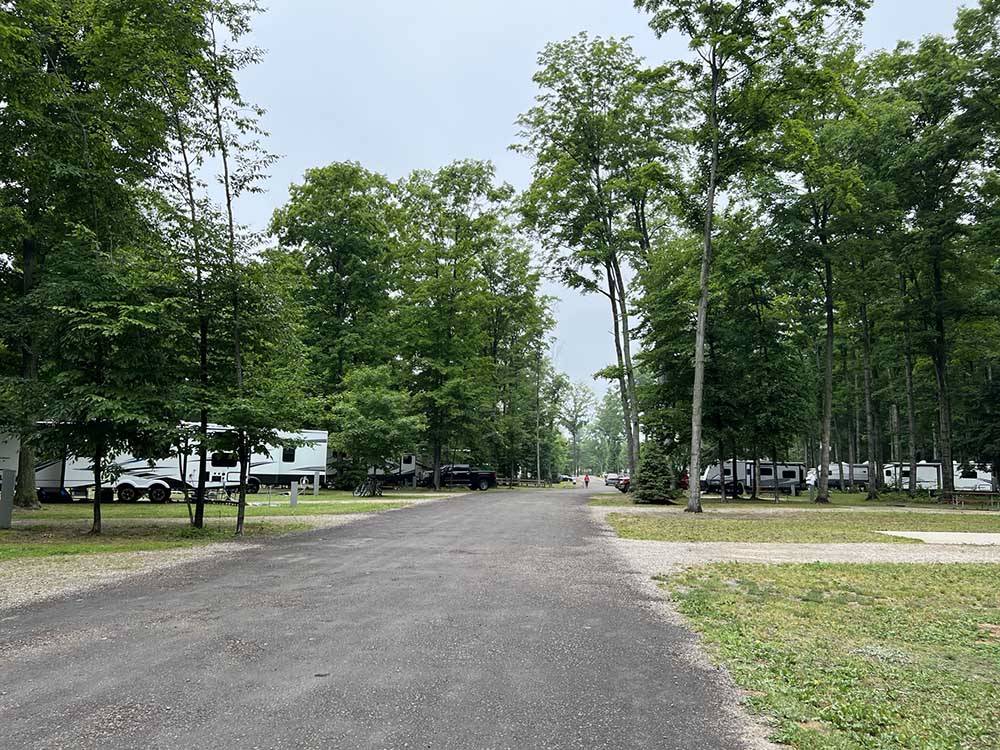 Paved road leading to RV spots at INDIGO BLUFFS RV PARK AND RESORT
