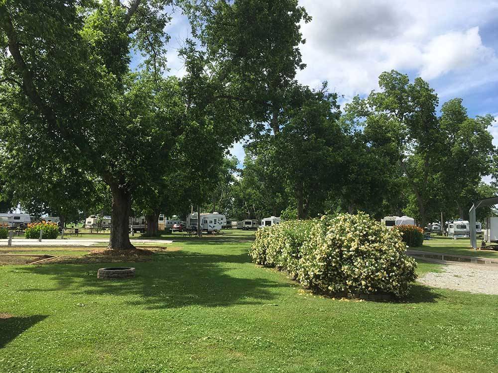 Trailers and RVs camping at PECAN GROVE RV PARK