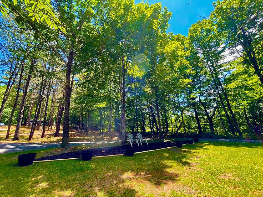 Seating under shade trees