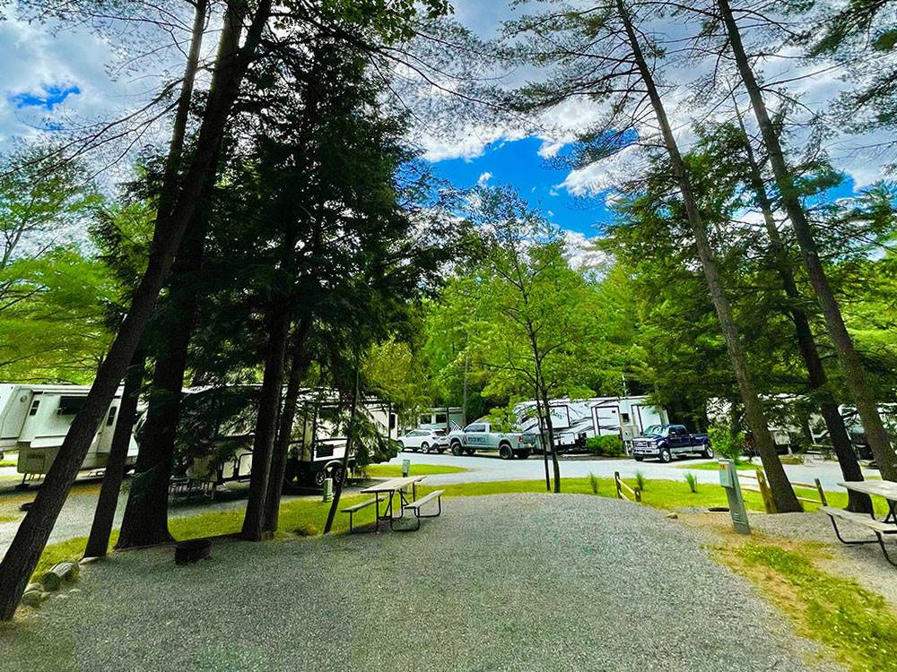 A tree-lined gravel site with picnic table