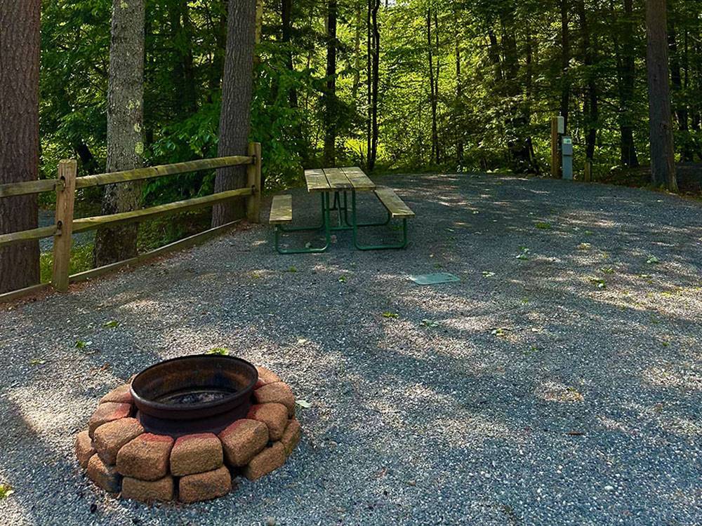 A fire pit and picnic table at site