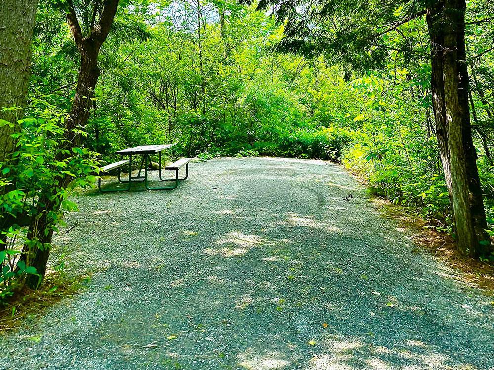 A private RV site nestled in the trees